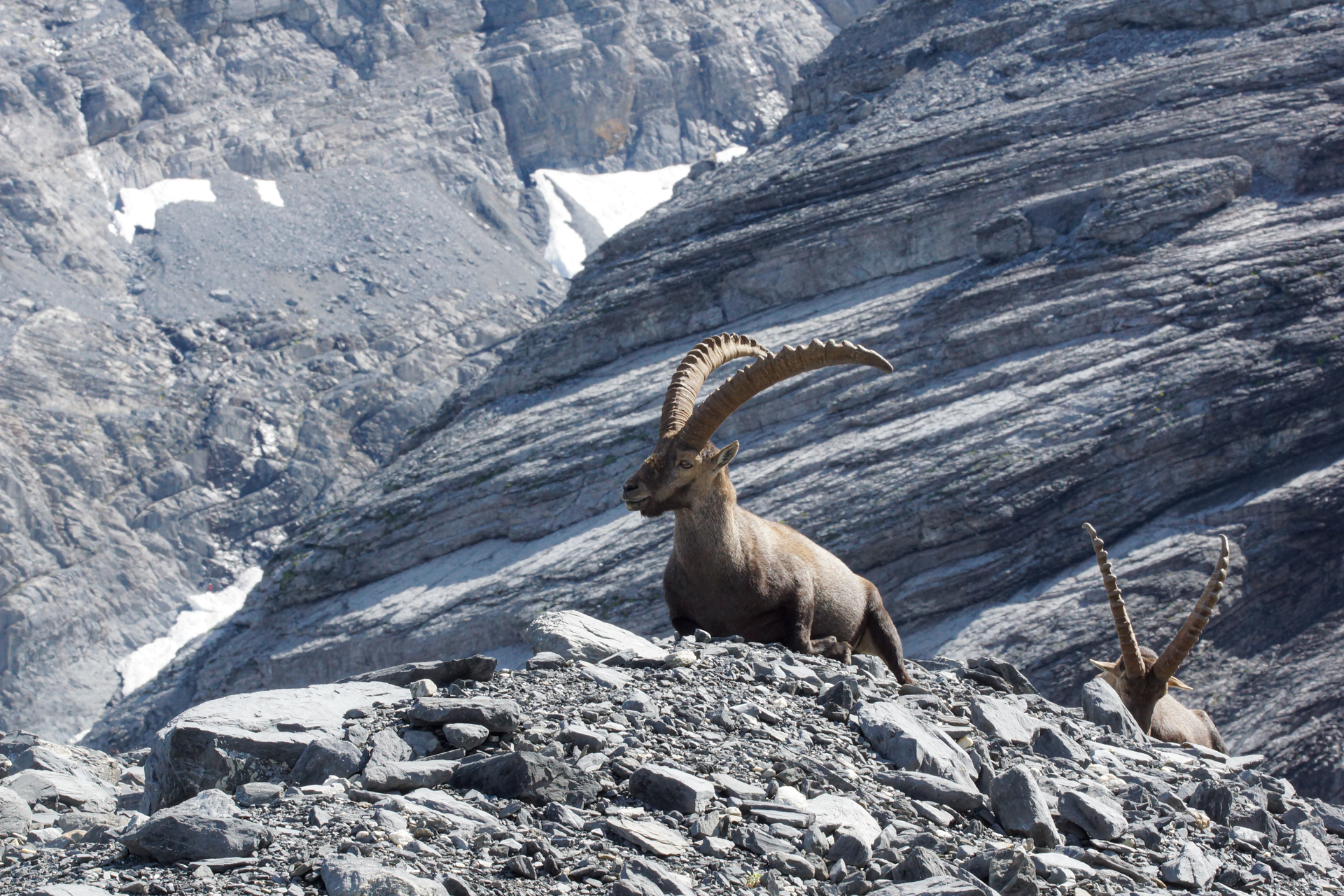 hochzeit trauung hochrhein fotoworkshop firmenevents