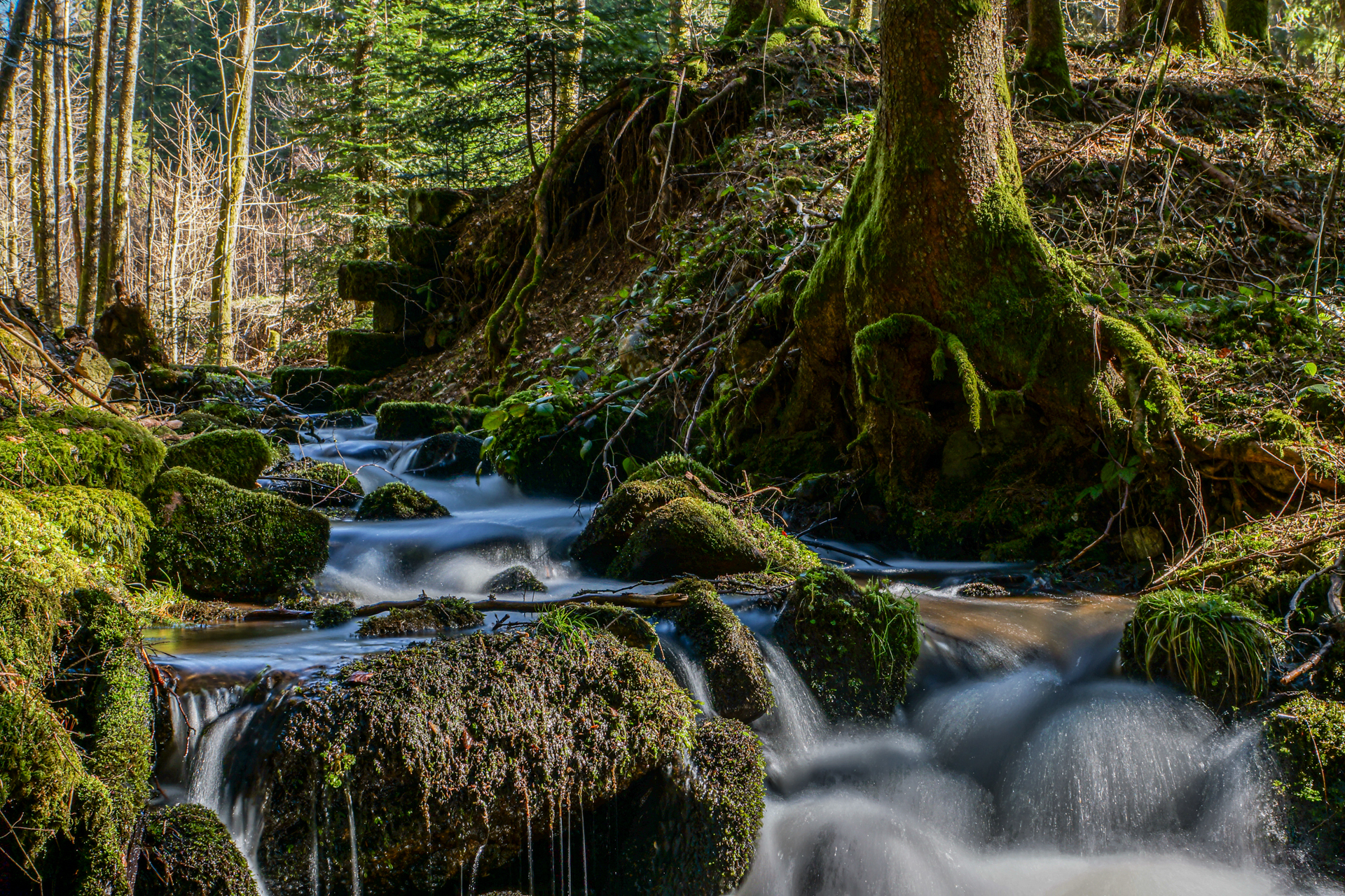 hochzeit bad säckingen firmenevents familienfeiern konzerte