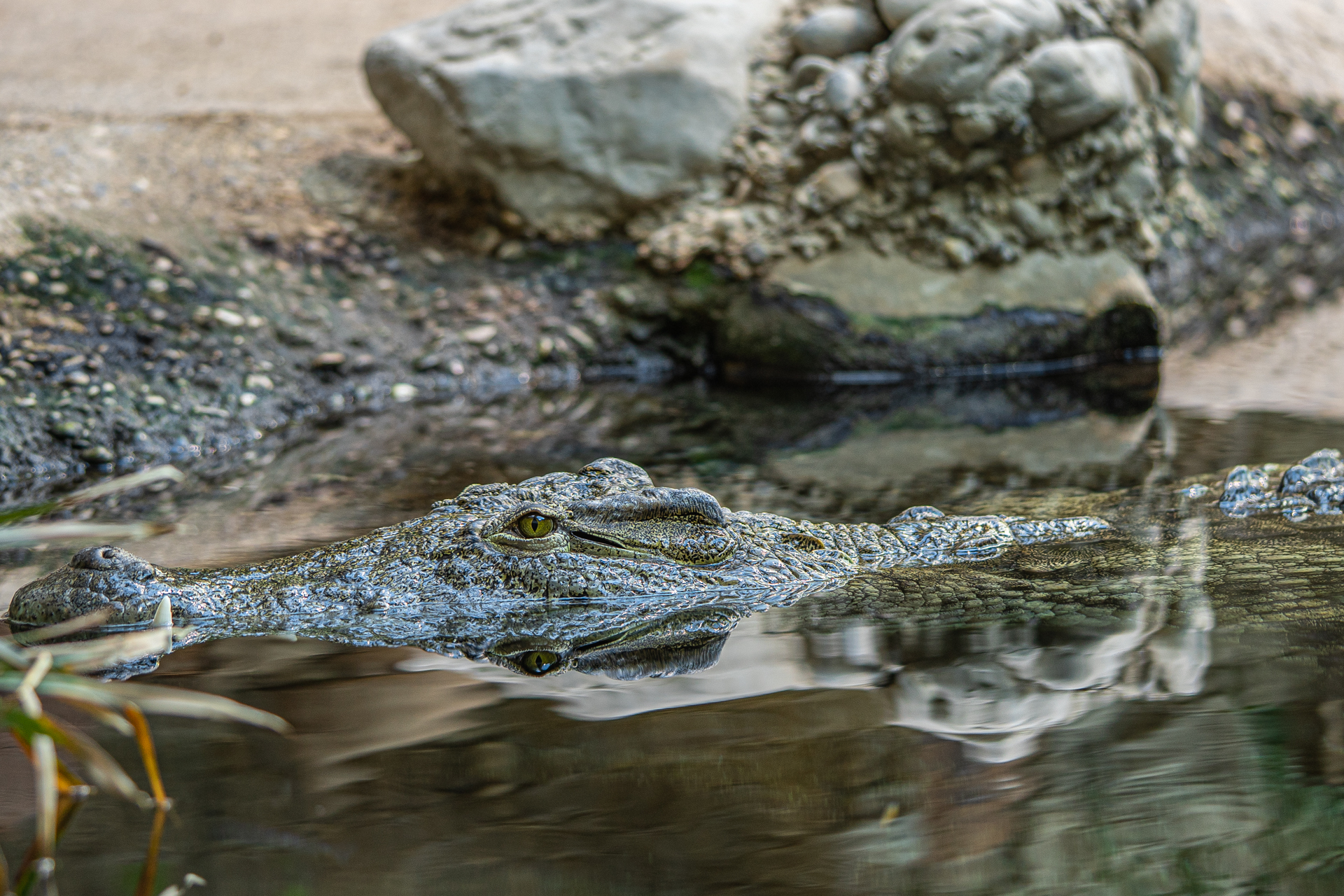 fotograf hochzeit trauung fotoworkshop familienfeiern